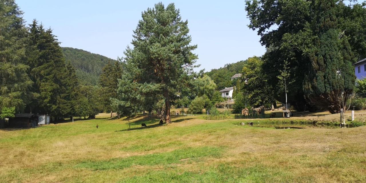 Ferienhaus Kylltal Zemmer Exterior foto